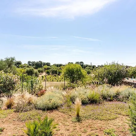 Casa Sordella- Trullo With It's Own Vineyard 别墅 *