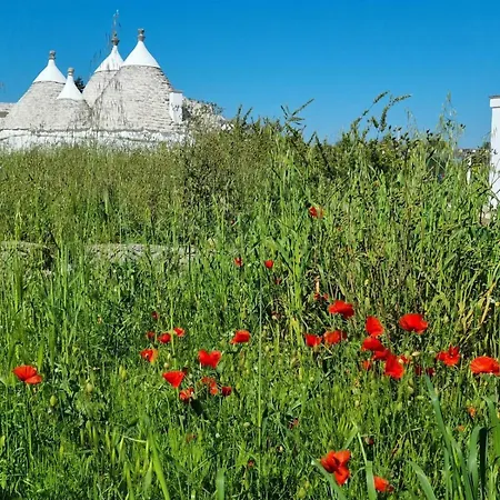别墅 Casa Sordella- Trullo With It's Own Vineyard 圣米凯莱萨伦蒂诺