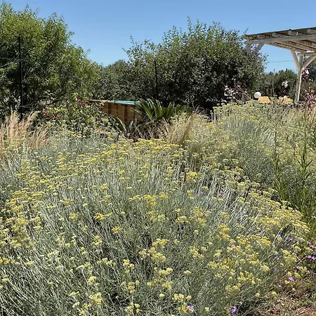 Casa Sordella- Trullo With It's Own Vineyard 圣米凯莱萨伦蒂诺
